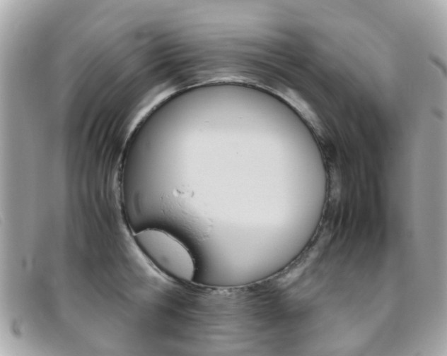 X0000095950806200801110914