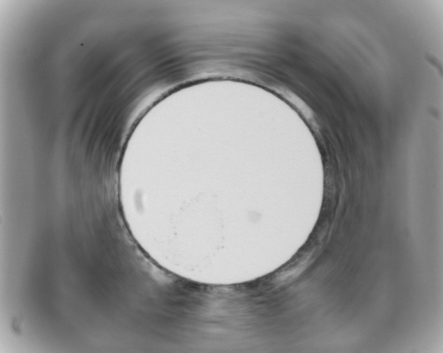 X0000095950807200801110914