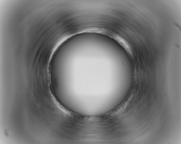 X0000095950808200801110914