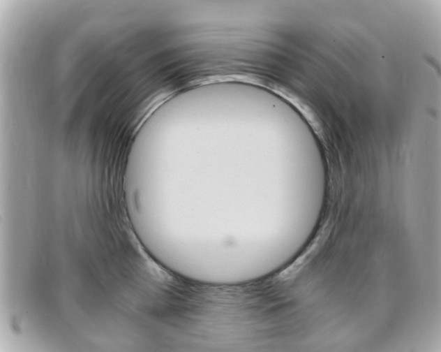 X0000095950809200801110914