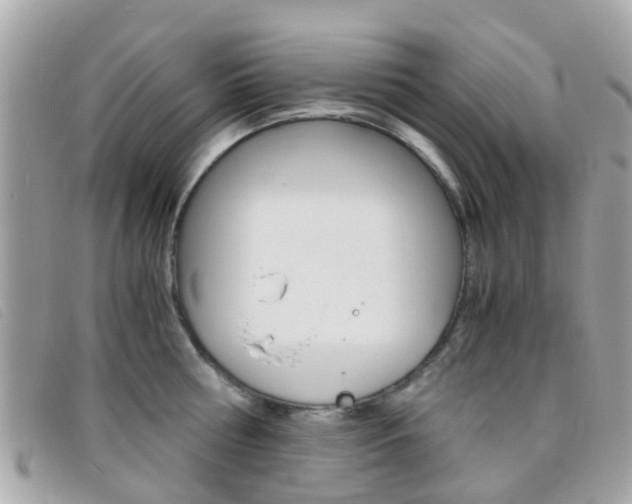 X0000095950810200801110914