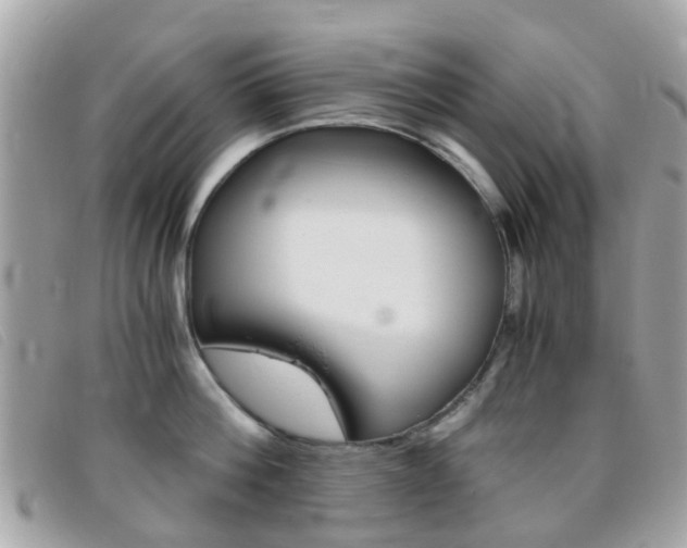 X0000095950812200801110914