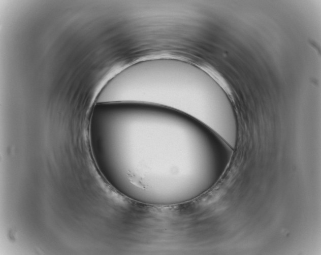 X0000095950813200801110914