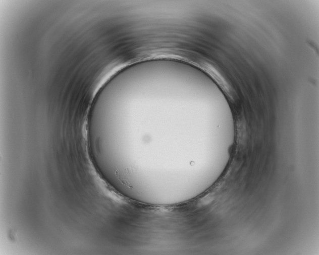 X0000095950814200801110914