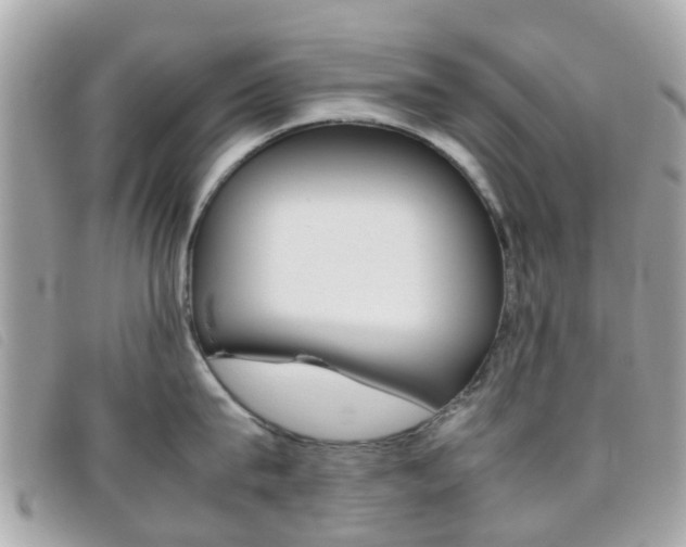 X0000095950815200801110914
