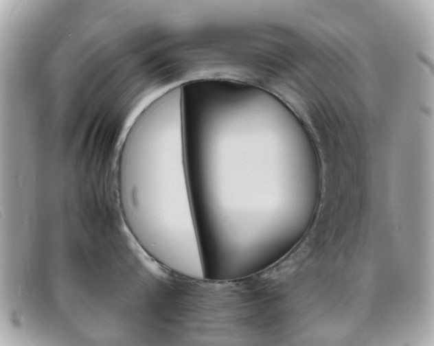 X0000095950816200801110914