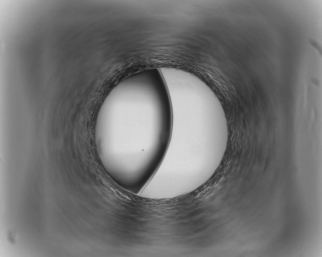 X0000095950817200801110913