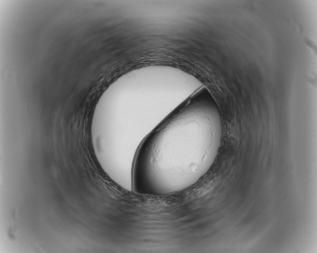 X0000095950818200801110913