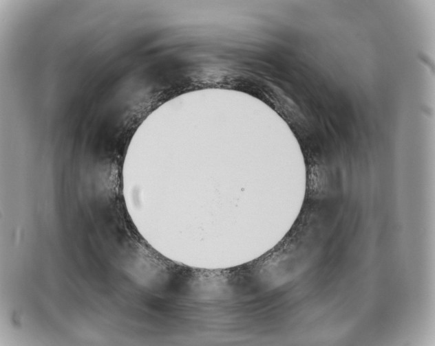 X0000095950820200801110913