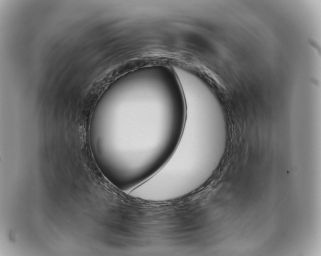 X0000095950821200801110913