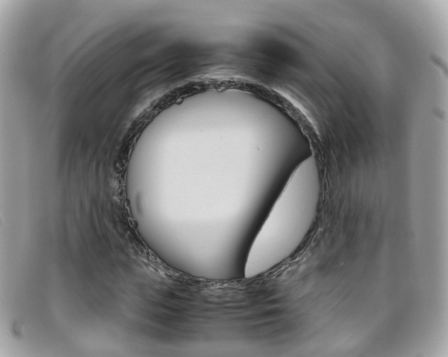 X0000095950823200801110914
