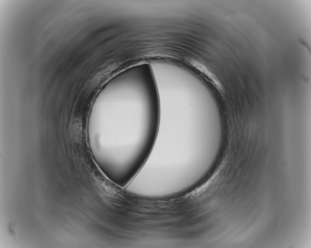 X0000095950825200801110914