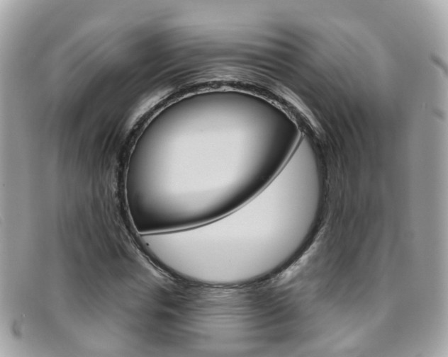 X0000095950826200801110914