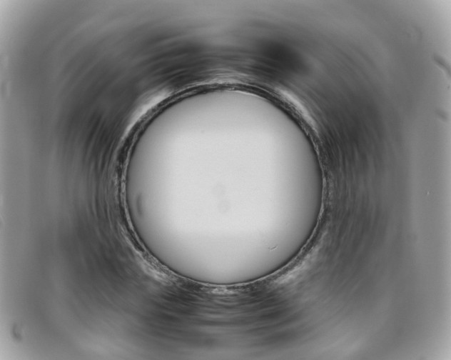 X0000095950827200801110914