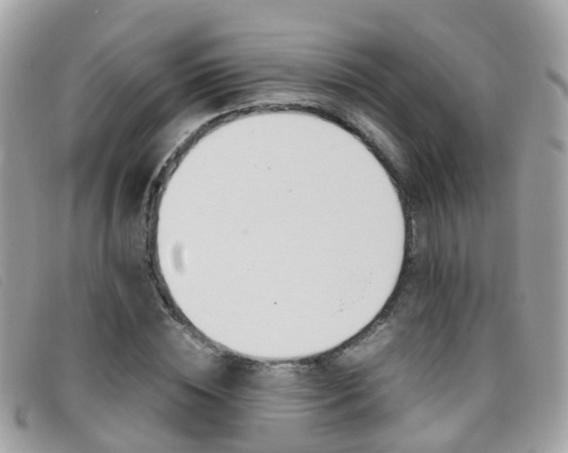 X0000095950828200801110914