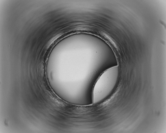 X0000095950829200801110914