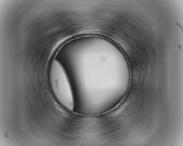 X0000095950830200801110914