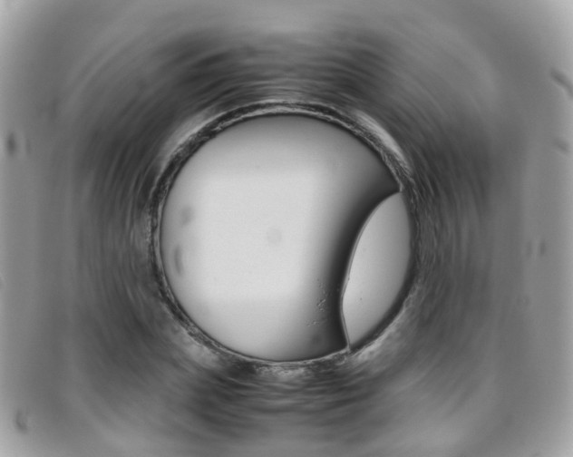 X0000095950831200801110914