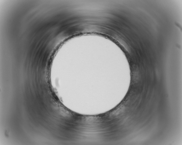 X0000095950832200801110914