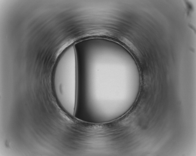 X0000095950834200801110914