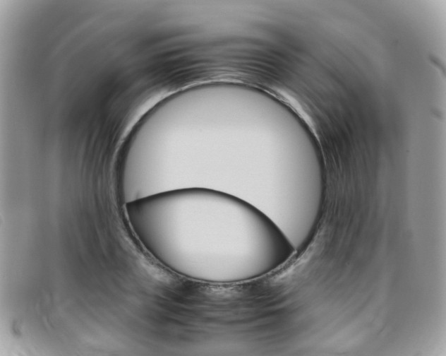 X0000095950835200801110914