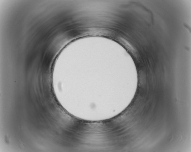 X0000095950836200801110914