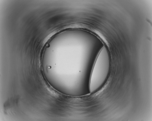 X0000095950837200801110914