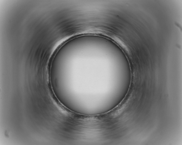 X0000095950838200801110914
