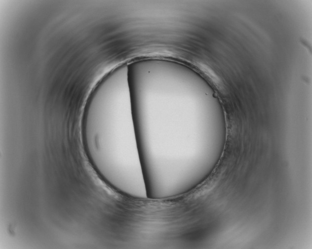 X0000095950840200801110914