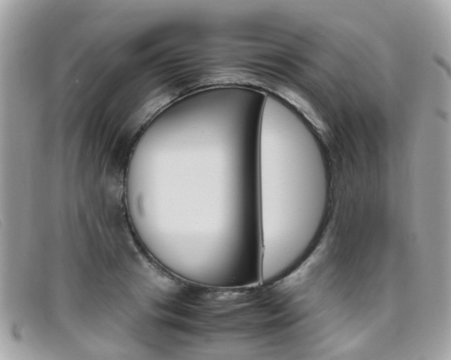 X0000095950841200801110914