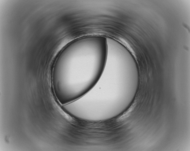 X0000095950843200801110914