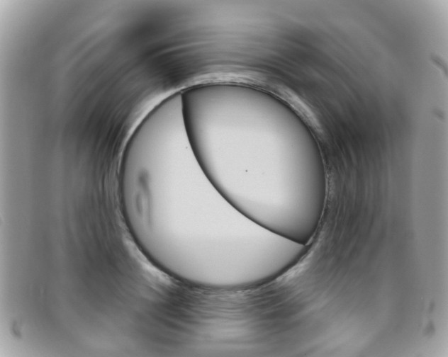 X0000095950844200801110914