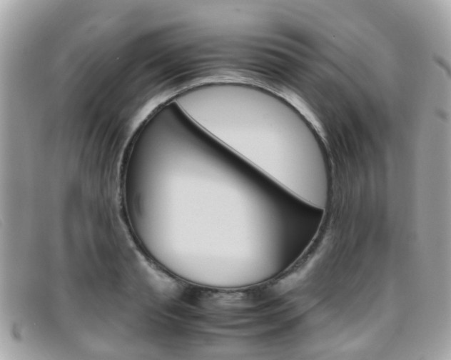 X0000095950845200801110914