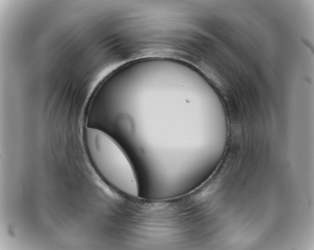 X0000095950846200801110914