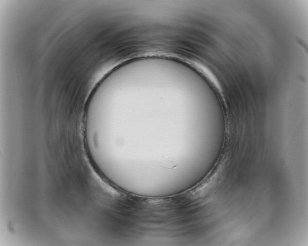 X0000095950847200801110914