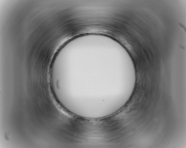X0000095950848200801110914