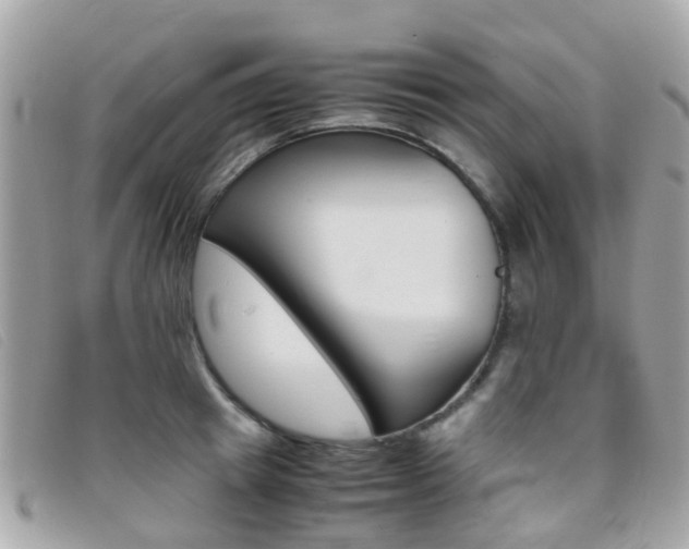 X0000095950849200801110914