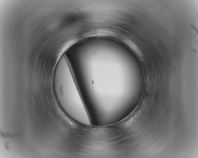 X0000095950850200801110914