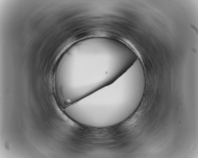 X0000095950851200801110914