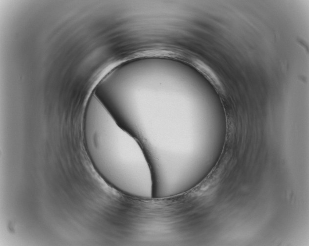 X0000095950852200801110914