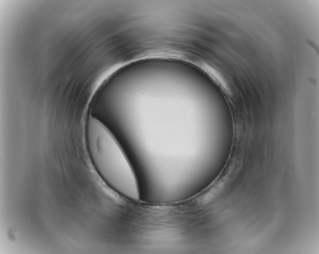 X0000095950854200801110914