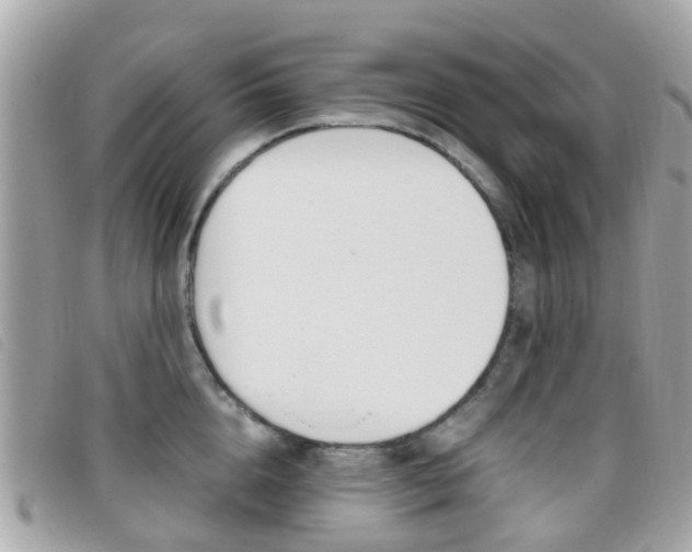 X0000095950856200801110914
