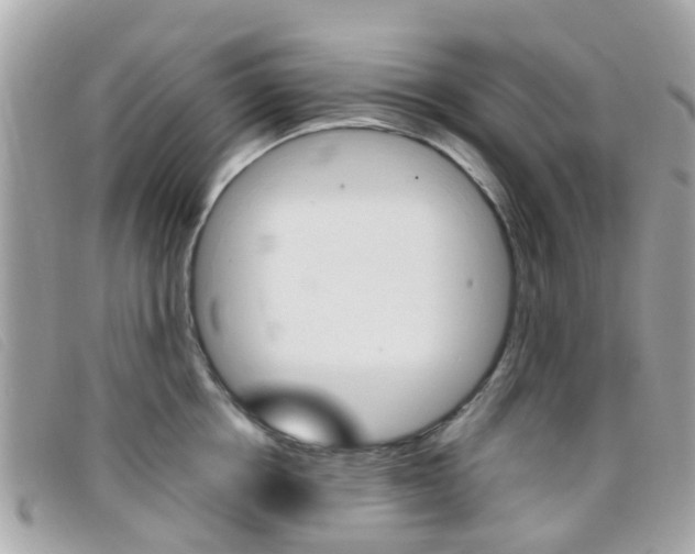 X0000095950858200801110914