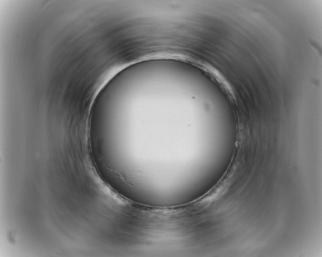 X0000095950860200801110914