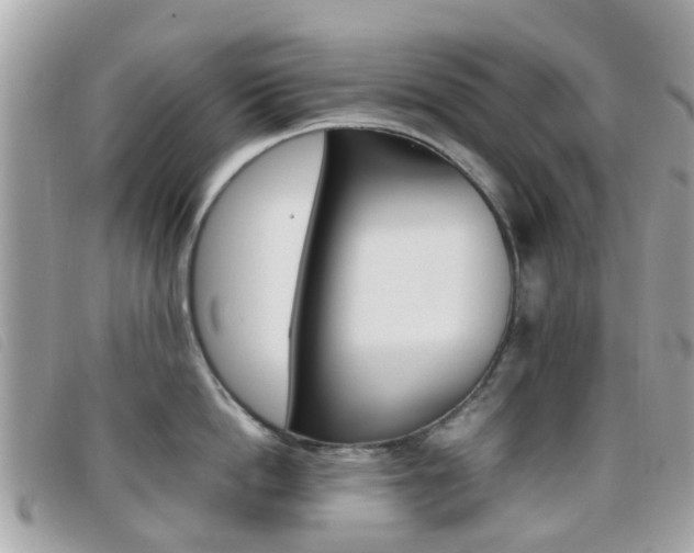 X0000095950862200801110914