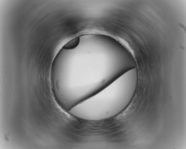 X0000095950863200801110914