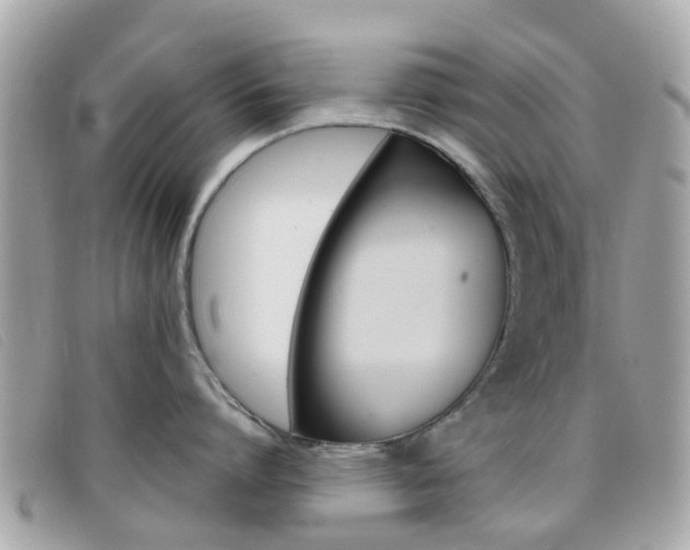 X0000095950864200801110914