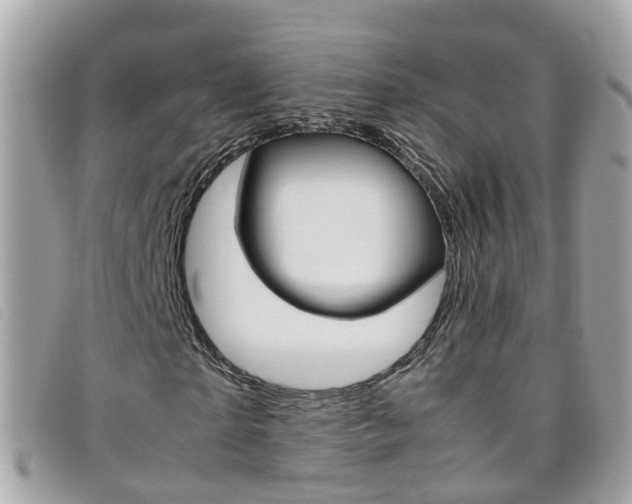 X0000095950865200801110913