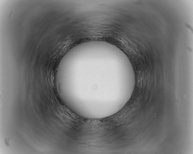 X0000095950866200801110913