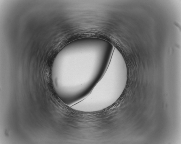 X0000095950867200801110913